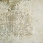 Studio Collage Studio Collage